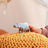 Schleich Wild Life - Hippopotamus