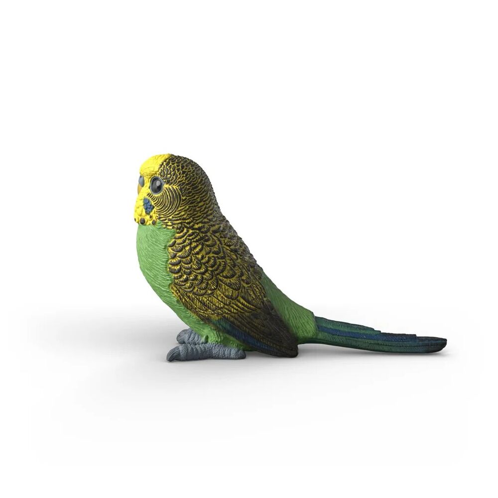 Schleich Farm World - Budgie