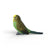 Schleich Farm World - Budgie