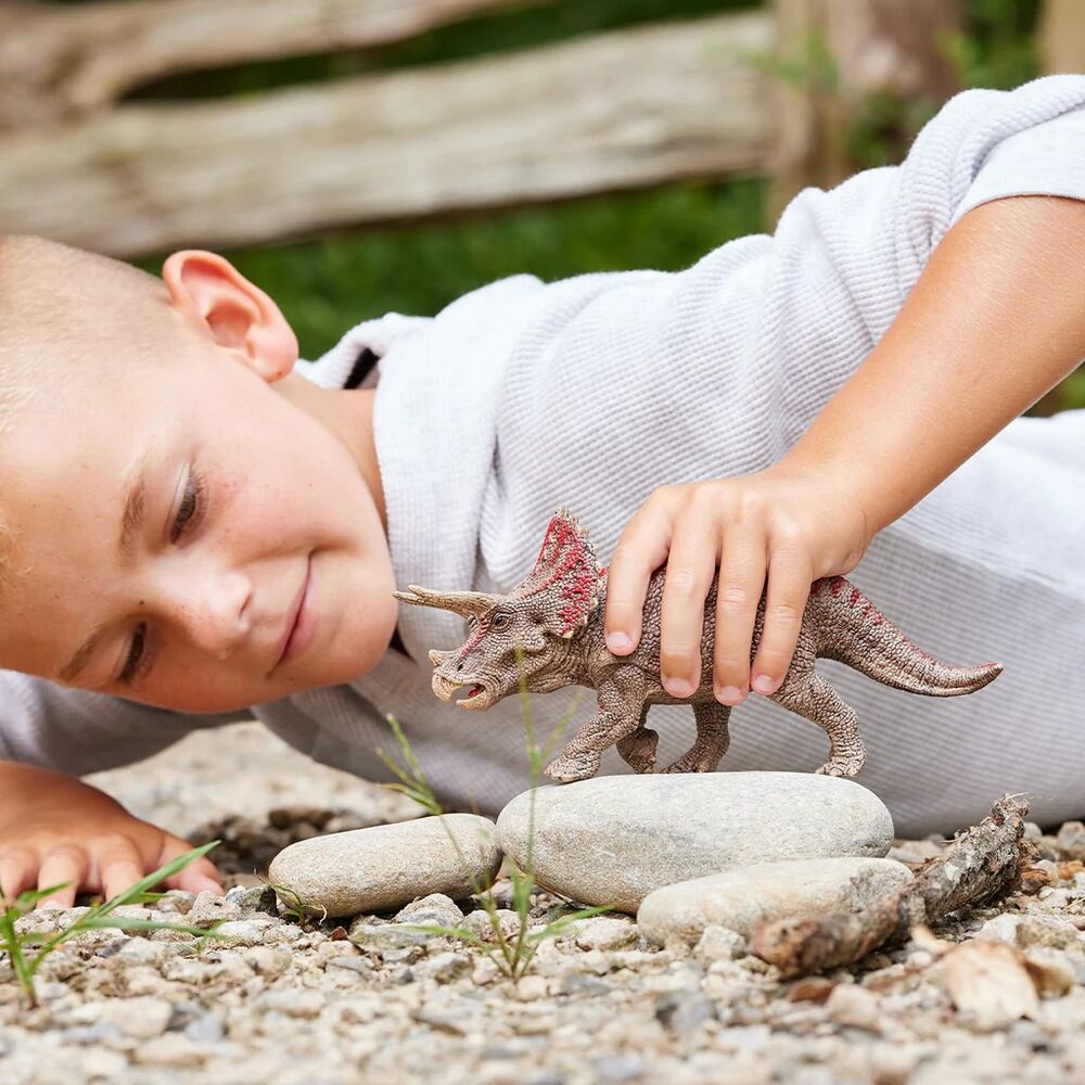 Schleich Dinosaurs - Triceratops