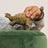 Schleich Dinosaurs - Ankylosaurus