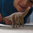 Schleich - Brontosaurus