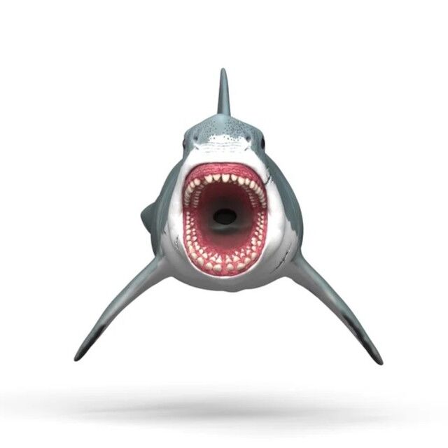 Schleich Dinosaurs - Megalodon