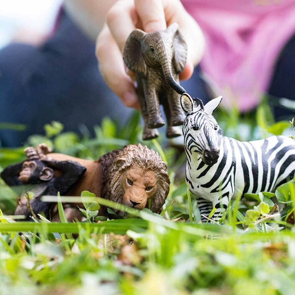 Schleich Wild Life - Wild Life Starter Set