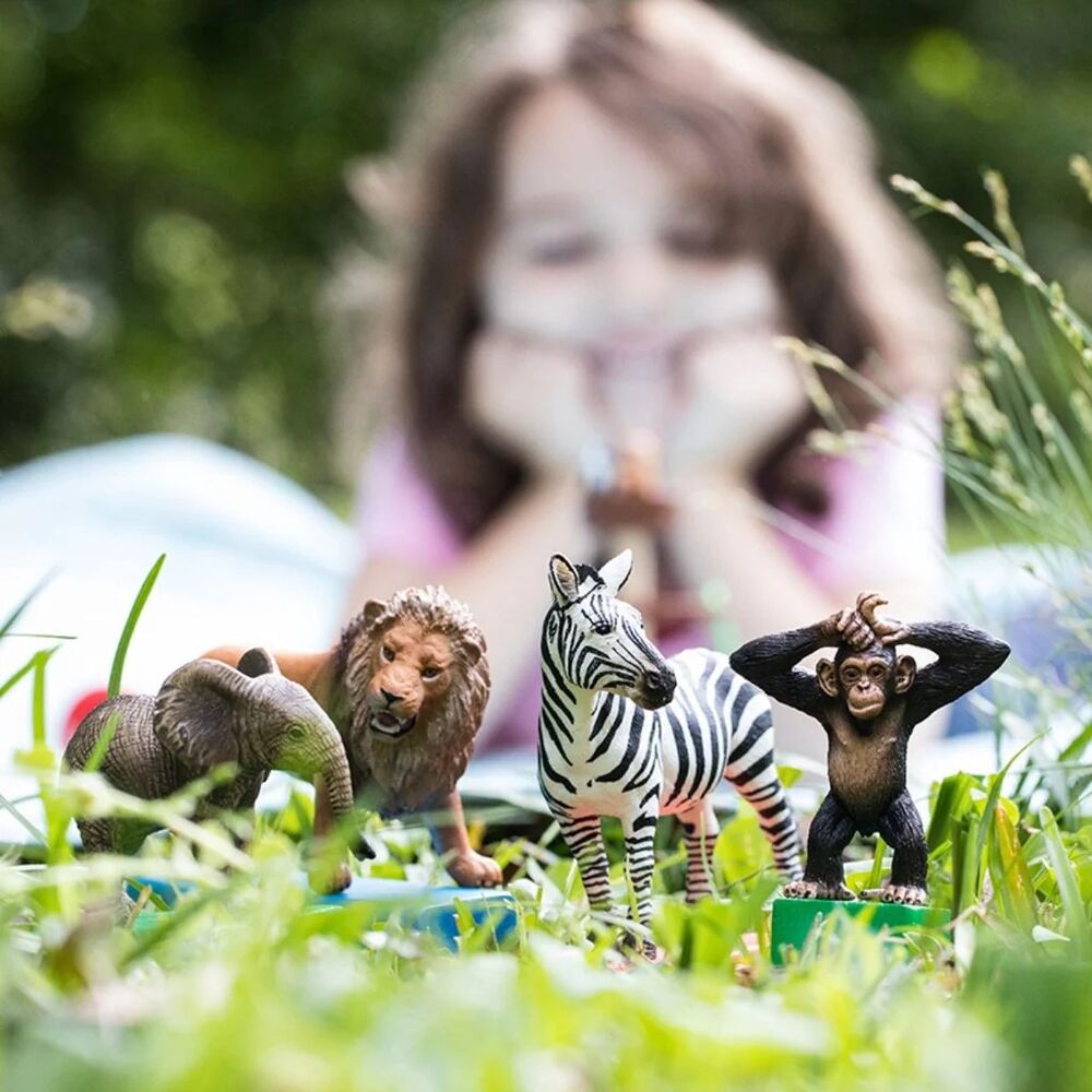 Schleich Wild Life - Wild Life Starter Set