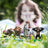 Schleich Wild Life - Wild Life Starter Set