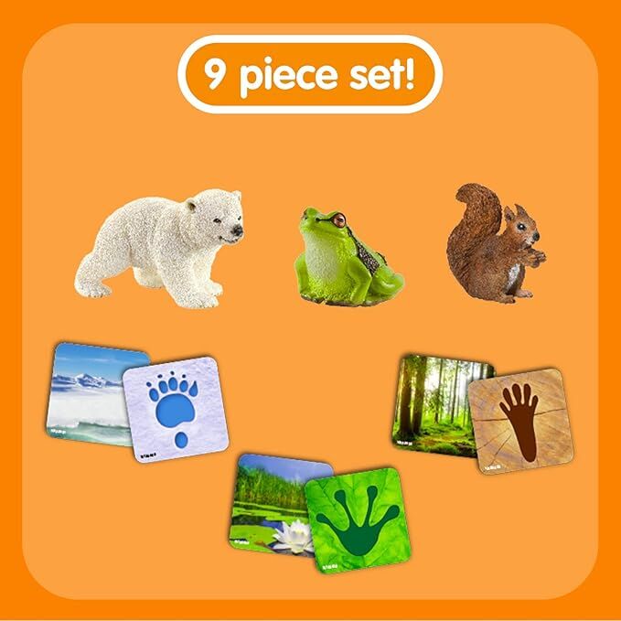 Schleich Wild Life - Wild Life Flash Cards