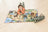 Schleich Wild Life - Playmat