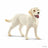 Schleich Farm World - Walking with Labrador Retriever
