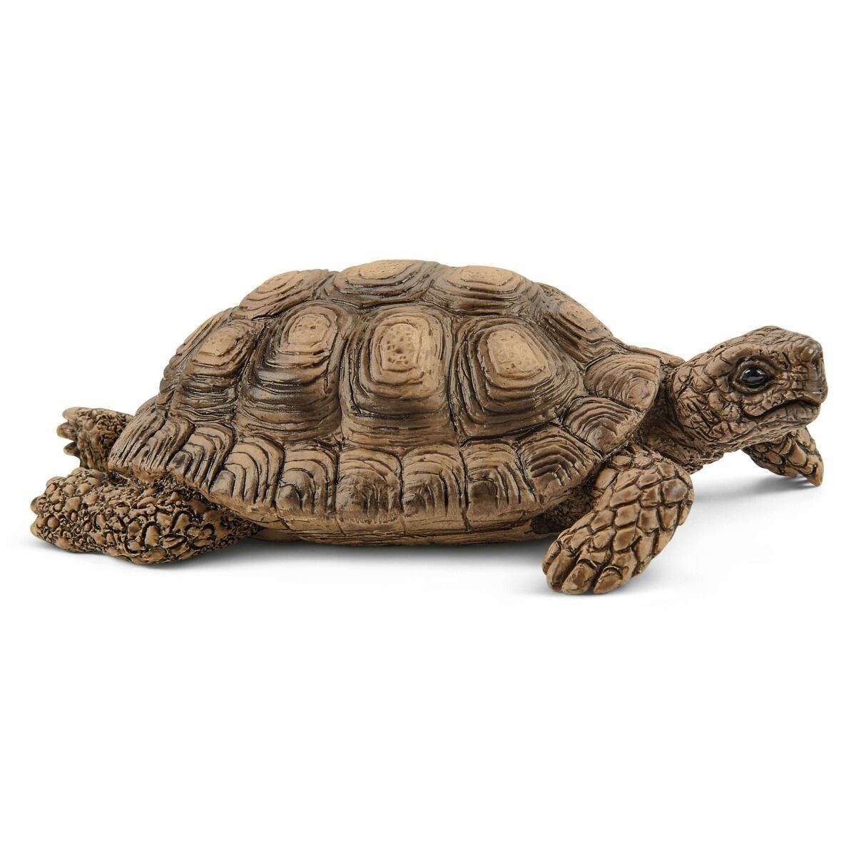 Schleich Wild Life - Tortoise Home