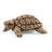Schleich Wild Life - Tortoise Home