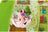 Schleich Bayala - Marween's Animal Nursery