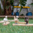 Schleich Farm World - Chicken Friends
