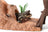 Schleich Wild Life - Ranger Adventure Station