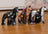 Schleich Horse Club - Sofia's Beauties - Beauty Akhal-Teke Stallion