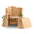 Schleich - Dino Temple Conquest