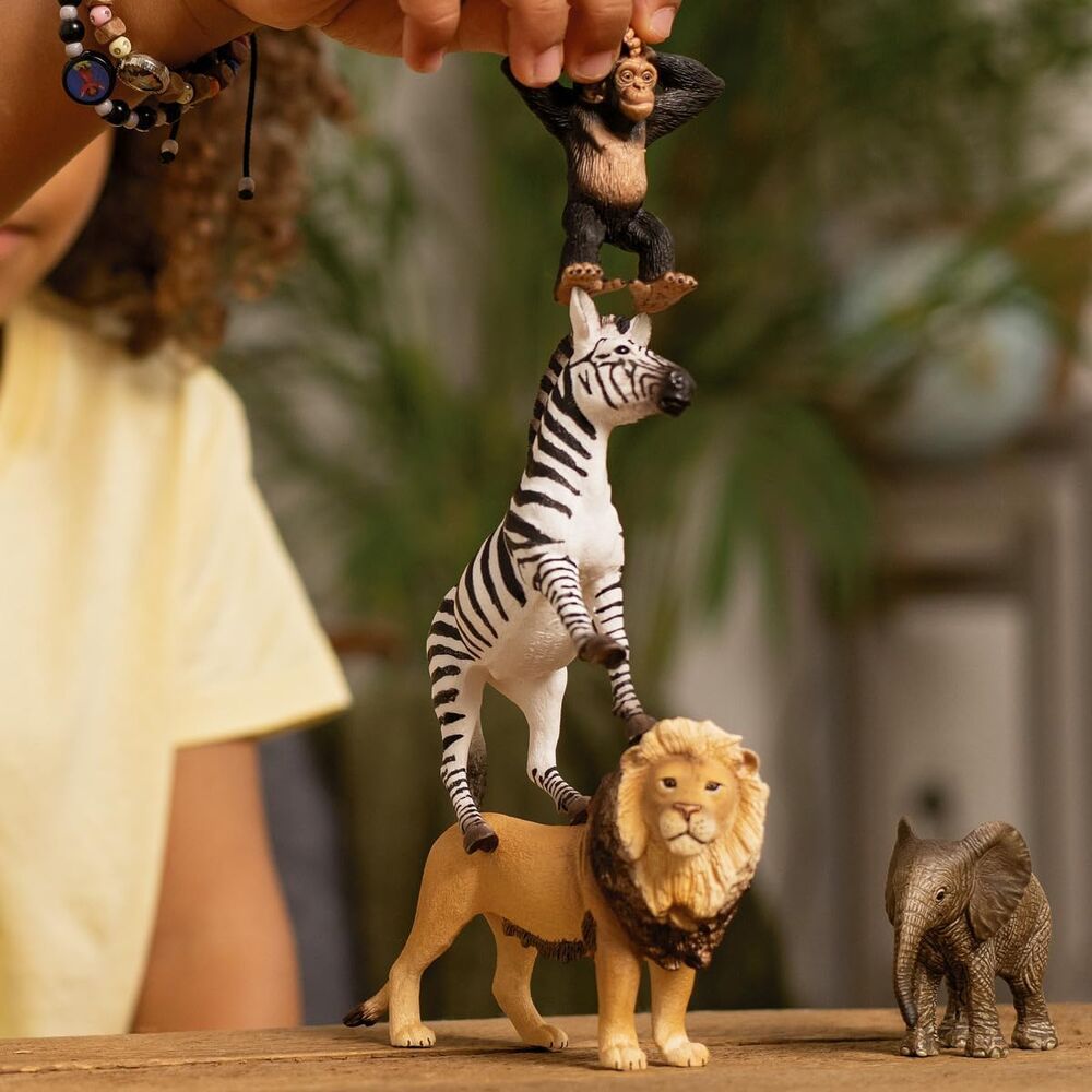 Schleich Wild Life - Africa Safari Starter Set