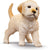 Schleich Farm World - Dog Kennel with Golden Retriever