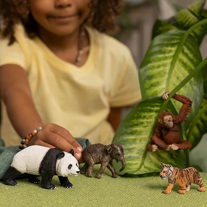 Schleich Wild Life - Asia Starter Set