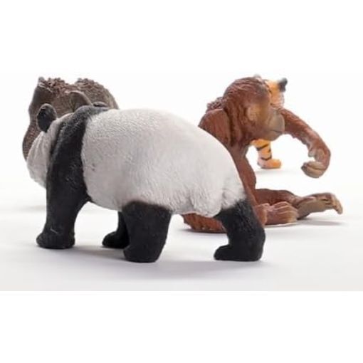 Schleich Wild Life - Asia Starter Set