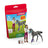Schleich Horse Club - Horse Care Playset with Trakehner Foal
