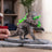 Schleich Eldrador Creatures - Stone Triceratops