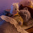 Sylvanian Families - Persian Cat Family