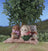 Sylvanian Families - Sheep Baby