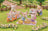 Sylvanian Families - Sunny Picnic Set