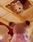 Sylvanian Families - Latte Cat Family