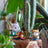 Sylvanian Families - Latte Cat Brother & Baby Exciting Exploration Set