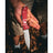 Victorinox Swiss Army Knife - Evoke Alox Red