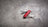 Victorinox Swiss Army Knife - Classic SD Style Icon Red