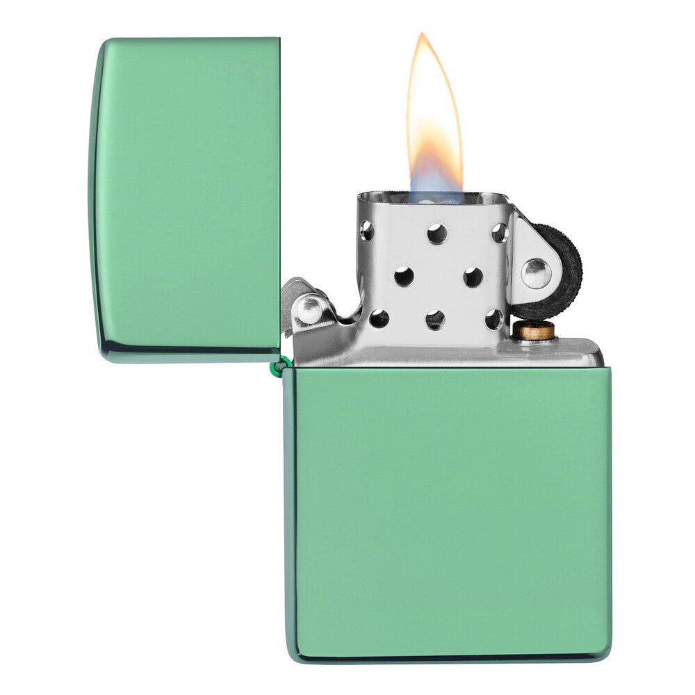 Zippo Lighter - Chameleon