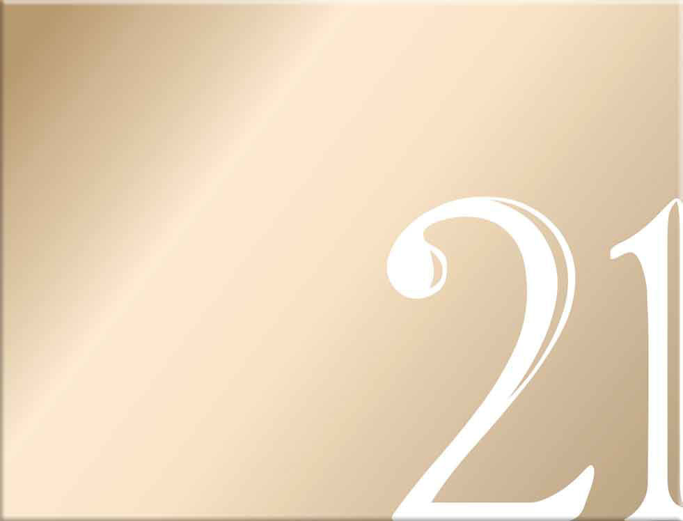 21st Birthday Rose Gold Guest Book