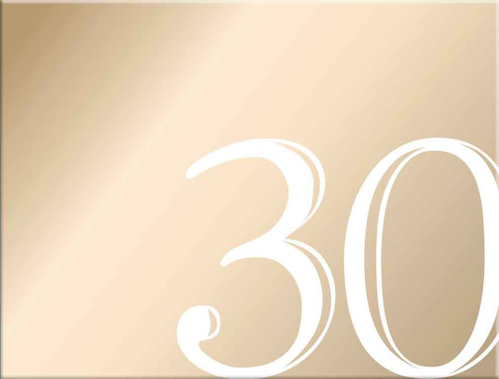 30th Birthday Rose Gold Guest Book