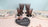 Jean Dubost Laguiole Simplicite - 24pc Cutlery Set Pastels