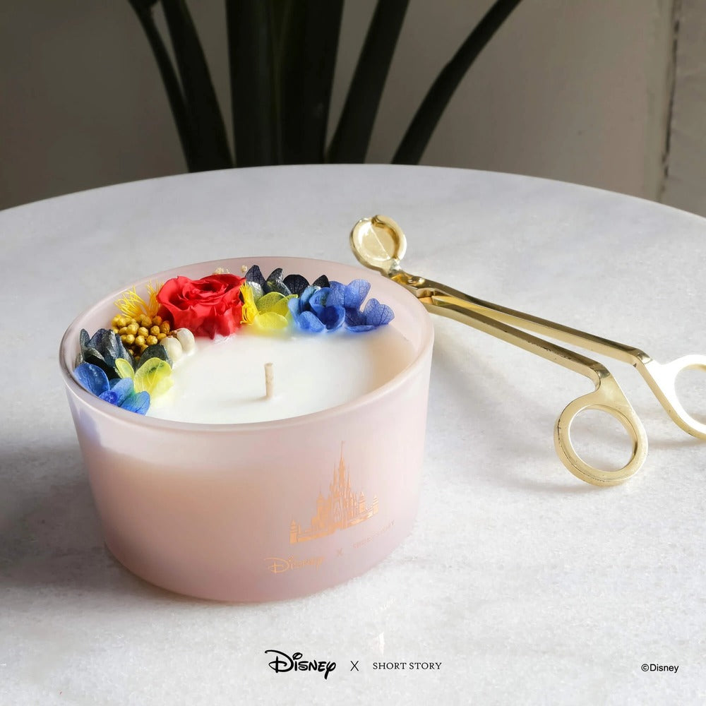 Disney x Short Story Candle - Belle And Beast
