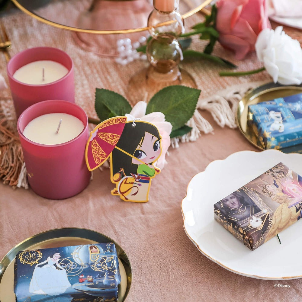 Disney x Short Story Soap - Cinderella