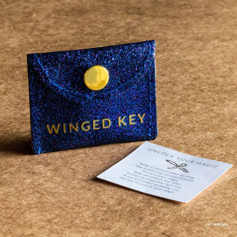 Harry Potter x Short Story Trinkets Pouch - Winged Key