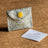 Harry Potter x Short Story Trinkets Pouch - Lumos