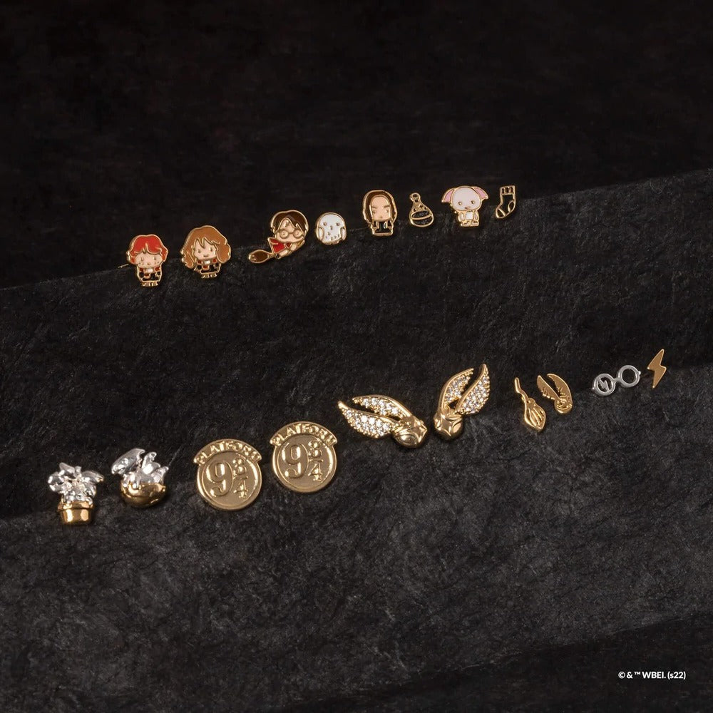 Harry Potter x Short Story Earrings - Snape & Potion - Epoxy