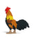 Jekca Animals - Rooster 28cm