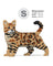 Jekca Animals - Bengal Cat 4-in-1
