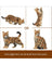 Jekca Animals - Bengal Cat 4-in-1