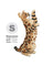 Jekca Animals - Bengal Cat 4-in-1