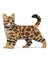 Jekca Animals - Bengal Cat 4-in-1
