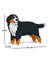 Jekca Animals - Bernese Mountain Dog 25cm