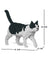 Jekca Animals - Black & White Cat Walking 28cm