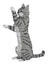 Jekca Animals - Tabby Cat Grey Standing 39cm